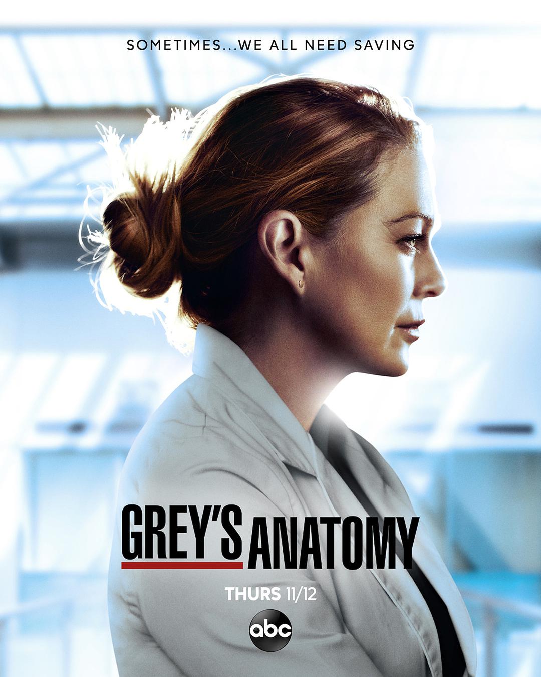 Grey's Anatomy Season 17海报