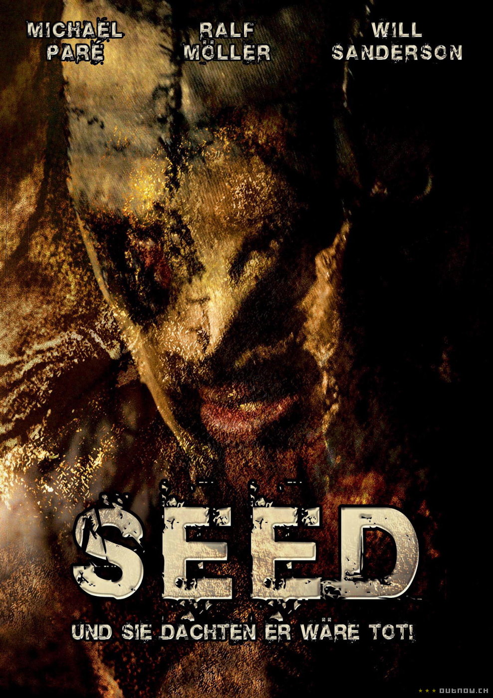 Seed海报