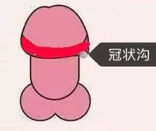 “二指螺旋训练法”让你早日摆脱5分钟运动插图2 “二指螺旋训练法”让你早日摆脱5分钟运动插图2